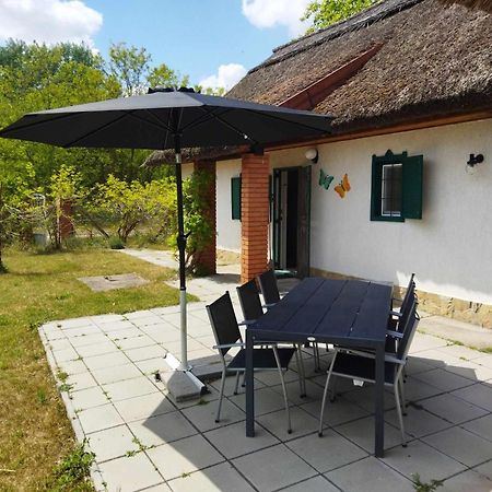 Boroka Tanya Villa Orgovany Exteriör bild