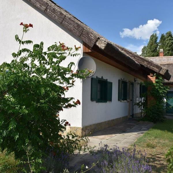Boroka Tanya Villa Orgovany Exteriör bild